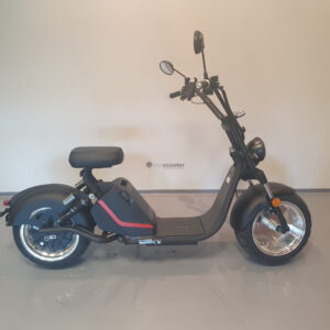 Ecoscooter CityCoco HL3.0-3000 elektriroller (laos olemas)