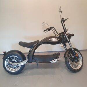 Ecoscooter CityCoco M4-20 elektriroller (tellimisel)
