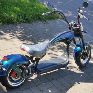 Ecoscooter CityCoco M1P-30 elektriroller roheline (laos)