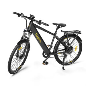 Ecoscooter Elektriratas Eleglide T1 hall