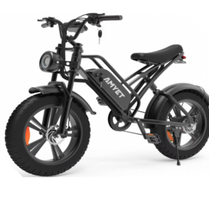 Elektriline kokkupandav EB Fat-bike 20