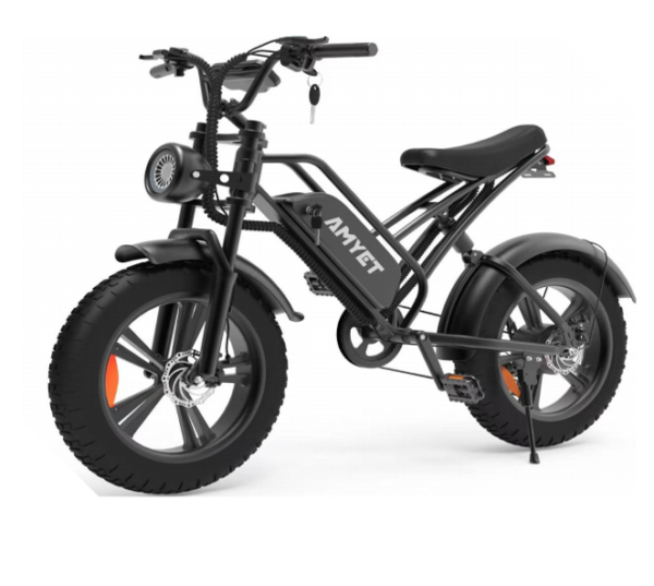 Elektriline kokkupandav EB Fat-bike 20