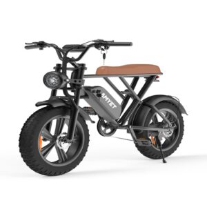 Elektriline ratas EB Fat-bike 60