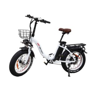 Elektriline kokkupandav EBT Fat-bike21 SAMSUNG