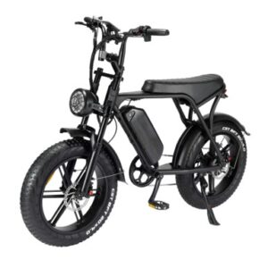 Elektriline ratas EB Fat-bike 08