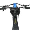 Elektriline ratas EB Fat-bike 08 - Image 4