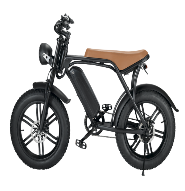 Elektriline ratas EB Fat-bike 08 pro - Image 4
