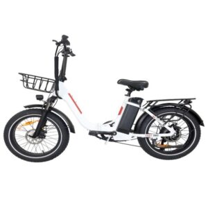 Elektriline kokkupandav Fat-bike20 fold-30