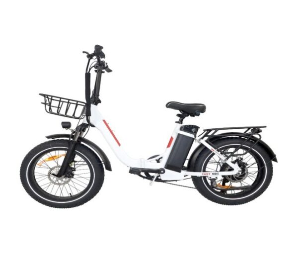 Elektriline kokkupandav Fat-bike20 fold-30