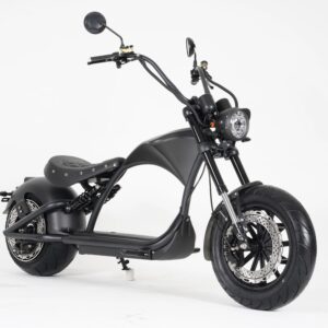 Electriroller CityCoco M1P-30 upgrade Black